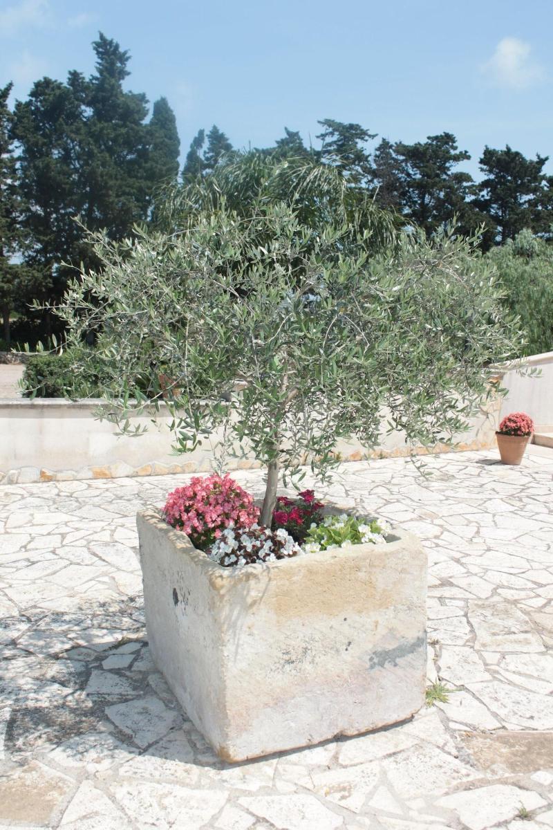 Tenuta Turchi Otranto Luaran gambar